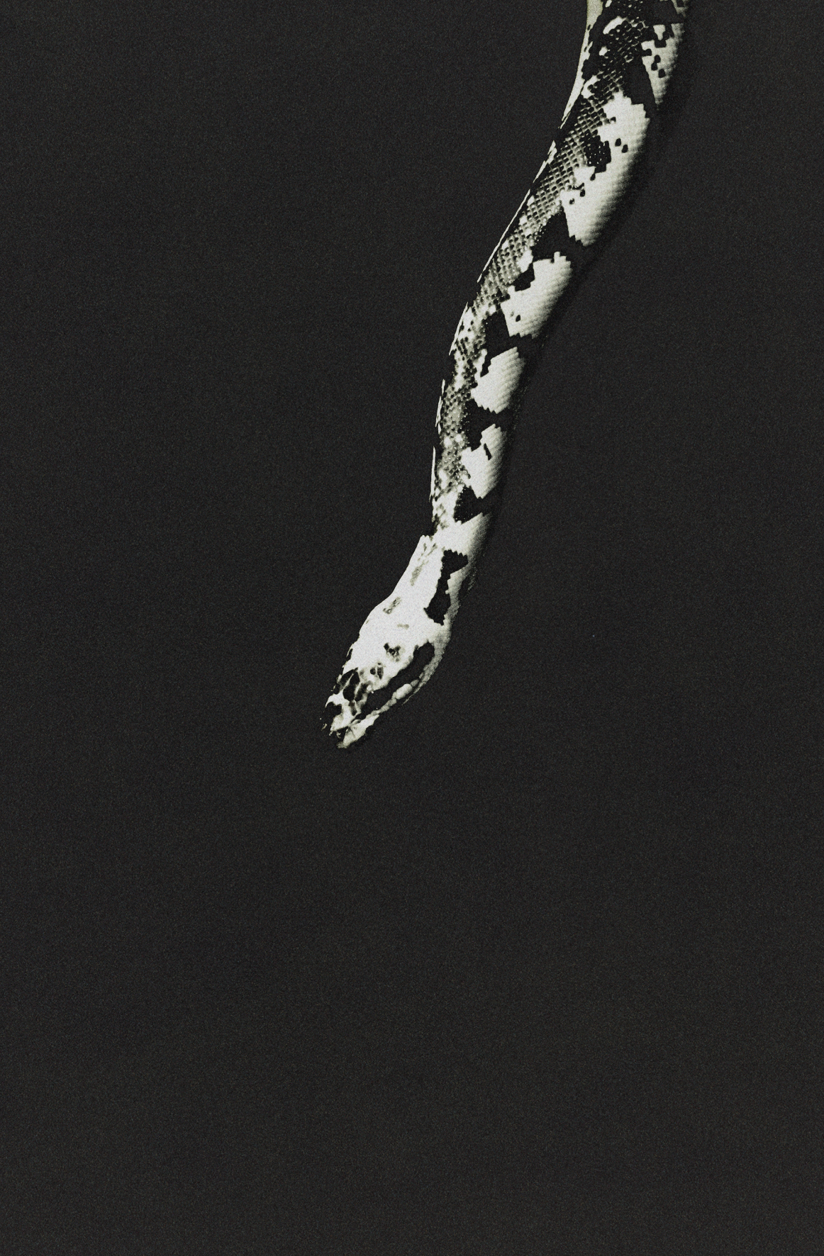 Snake 2