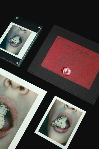 Parnassius Phoebus 1